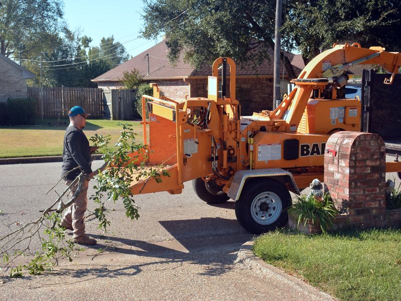 Davenport Tree Removal Cost: Local Prices and Tips, tree removal in Davenport, IA